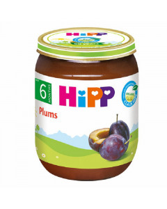 Hipp Organic Plum - Case