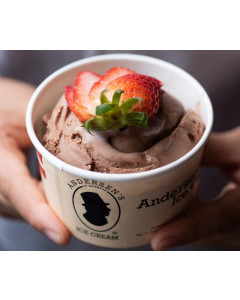 ANDERSEN'S OF DENMARK ICE CREAM - Belgian Chocolate - Carton