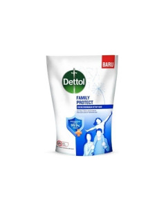 Export DETTOL ANTI-BACT SOAP FAMILY PROTECT-100GX48-20fcl-Carton