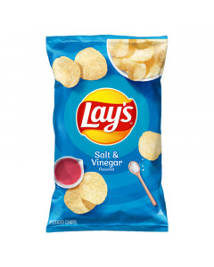 Lay's Salt and Vinegar Potato Chips - Carton