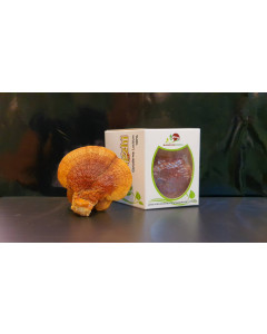 Dried Lingzhi Mushroom Vacuum Packed - Case