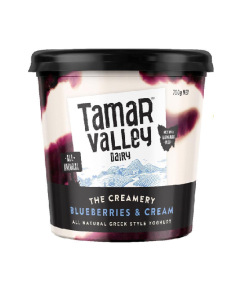 TAMAR.V THE CREAMERY G/S BLUEBERRY & CREAM FOODSERVICE PORTION - Carton