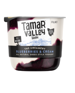 TAMAR VALLEY DAIRY THE CREAMERY G/S BLUEBERRY & CREAM - Carton