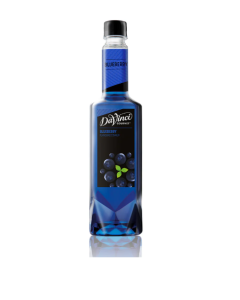 DAVINCI GOURMET SYRUP BLUEBERRY - Carton