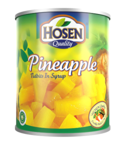HOSEN CAN PINEAPPLE TIDBITS - Carton