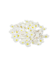 REDMAN DAISY BUTTON(S) WHITE - Carton