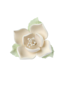 REDMAN GP JASMINE WHITE - Carton