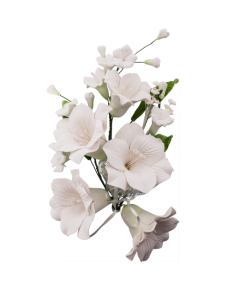 REDMAN GUM PASTE LILY WHITE (L) - Carton