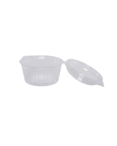 OTHERS PLASTIC BOX CLAM 17X11CM (RB 201947) - Carton