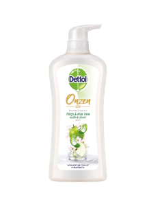 DETTOL SF ONZ MOIS ALOE - Carton