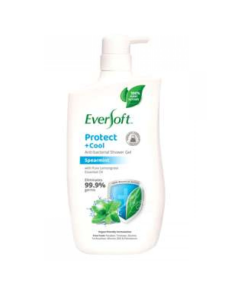 EVERSOFT ANTI BACTERIAL - PROTECT & COOL (SPEARMINT) - Carton