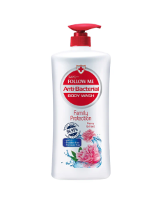FOLLOW ME ANTI BACTERIAL BODY WASH - FAMILY PROTECT - Carton