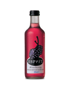 Esprit Sparkling Water Blueberry - Case