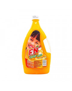 F&N Orange - Carton