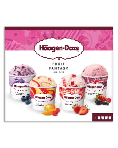Haagen Dazs Fruit Fantasy(4s x 100ml) - Carton