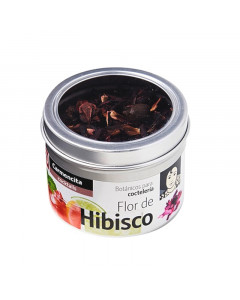 Carmencita Hibiscus Flower - Case