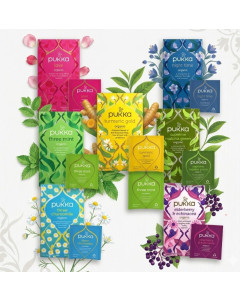 Pukka Organic Tea Selection - Carton