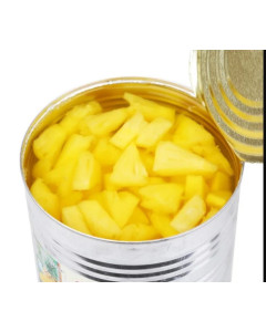 YONGWEN CANNED PINEAPPLE TIDBITS IN - Carton