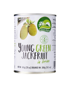 Nature's Charm Young Green Jackfruit in Brine - Case