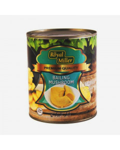 Royal Miller Bailing Mushroom - Case