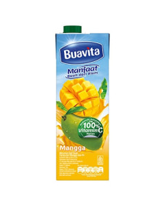 Export BUAVITA MANGO Real Fruit Juice - 24X245ML