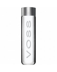 Voss Pet Still Water - Carton