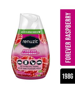 Renuzit Gel Air Freshener - Forever Raspberry - Case