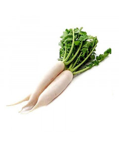 Rya White Radish - Case