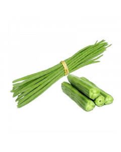 Rya Drumstick - Case