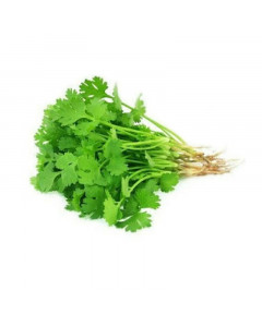 Rya Coriander Leaf - Case
