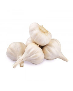 Rya Garlic - Case