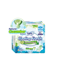 Sofy Cooling Fresh Day Slim Wing 25cm (Cucumber) - Carton