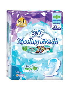 Sofy Cooling Fresh Night Slim Wing 29cm (Minty Cool) - Carton