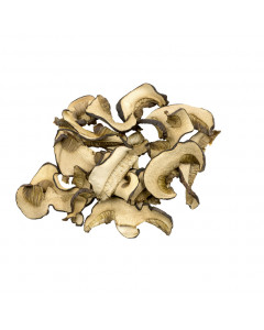 Shredded Mushroom - Case