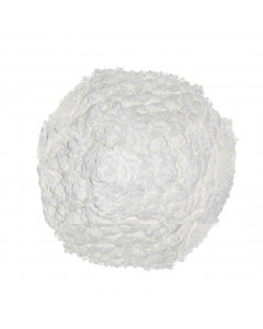 Korean Corn Starch - Case