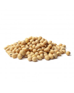 BIG Q Canada Soya Beans - Carton