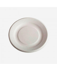 Bagasse 9" Round Paper Plate - Case