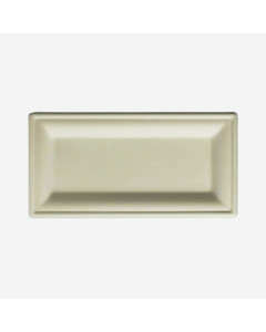 Bagasse Rectangular Plate - Case