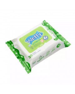 Wetty Anti Bacterial Wet Wipes - Case