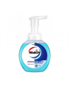 Walch Foaming Hand Wash Refreshing - Case