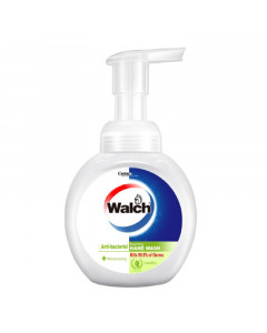 Walch Foaming Hand Wash Refreshing - Case