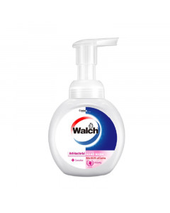 Walch Foaming Hand Wash Sensitive - Case