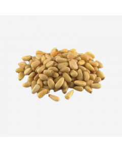 Xtuff Pine Nut - Case