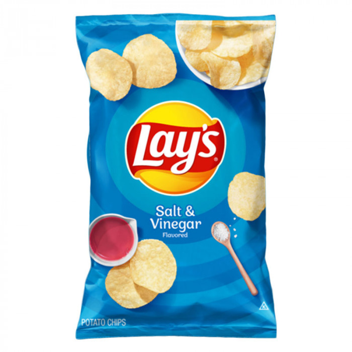 Lay's Salt and Vinegar Potato Chips - Case