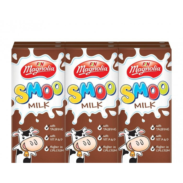F&N Magnolia Smoo Chocolate Flavoured Milk Case