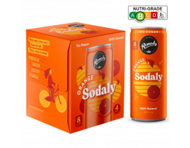 Remedy Organic Sodaly Orange - Carton