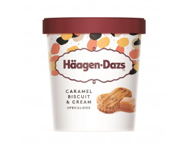 Haagen-Dazs Caramel Biscuit & Cream Ice Cream - Case