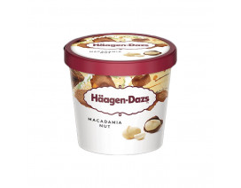 Haagen-Dazs Macadamia Nut Ice Cream - Case