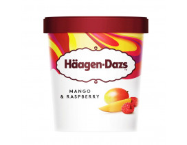 Haagen-Dazs Mango & Raspberry Ice Cream - Case