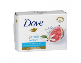 Dove Soap (Germany) Restore - Carton
